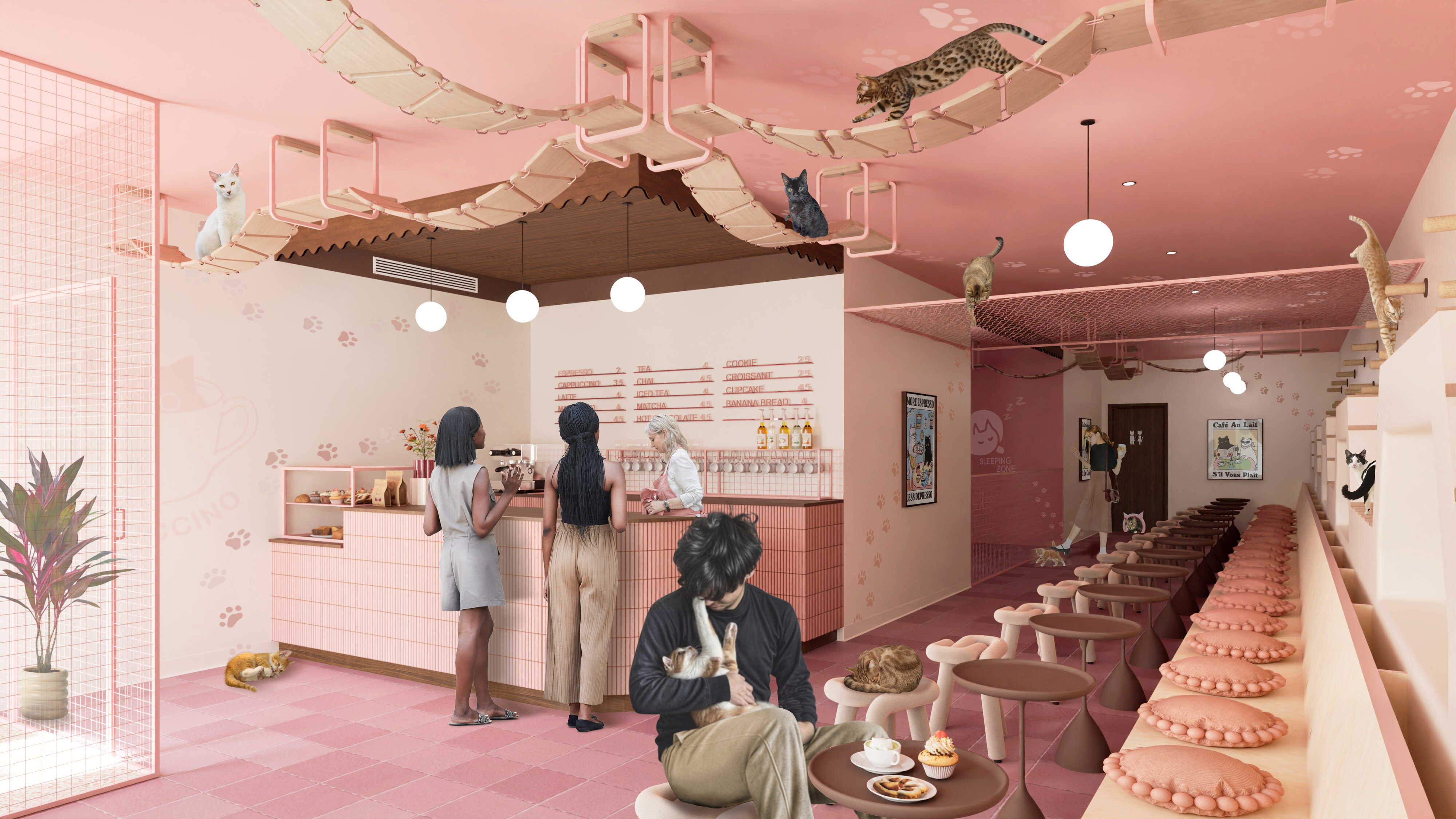 Catpuccino — Professionnel